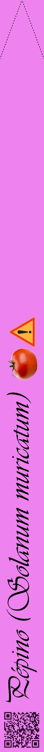 Étiquette de : Solanum muricatum - format b - style noire53viv avec qrcode et comestibilité simplifiée