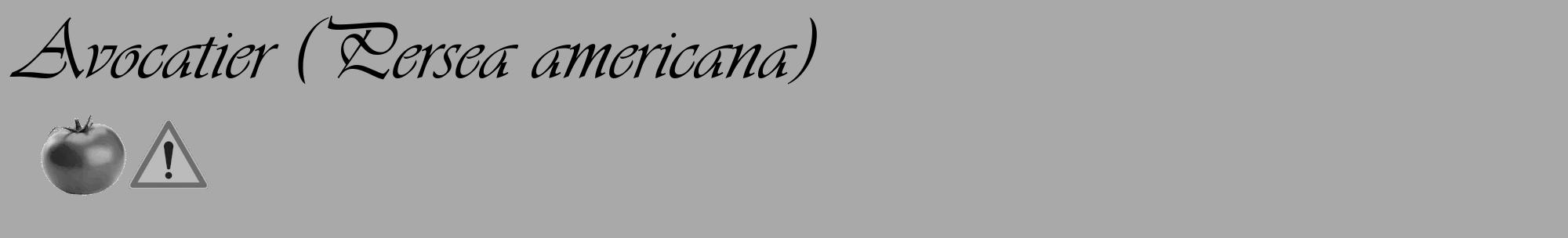 Étiquette de : Persea americana - format c - style noire13_basique_basiqueviv avec comestibilité simplifiée