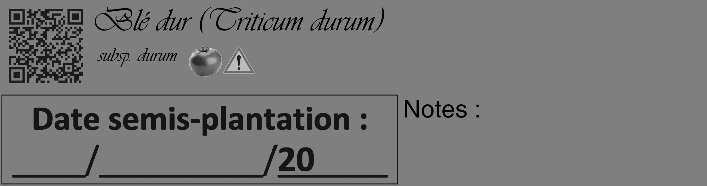 Étiquette de : Triticum durum subsp. durum - format c - style noire31_basique_basiqueviv avec qrcode et comestibilité simplifiée