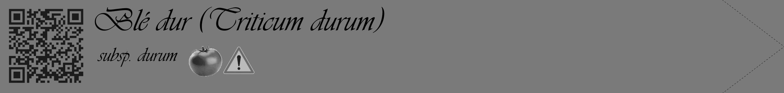 Étiquette de : Triticum durum subsp. durum - format c - style noire3_simple_simpleviv avec qrcode et comestibilité simplifiée