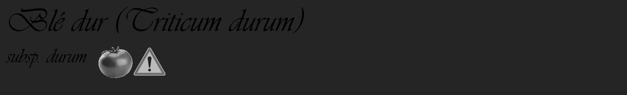Étiquette de : Triticum durum subsp. durum - format c - style noire47_basique_basiqueviv avec comestibilité simplifiée