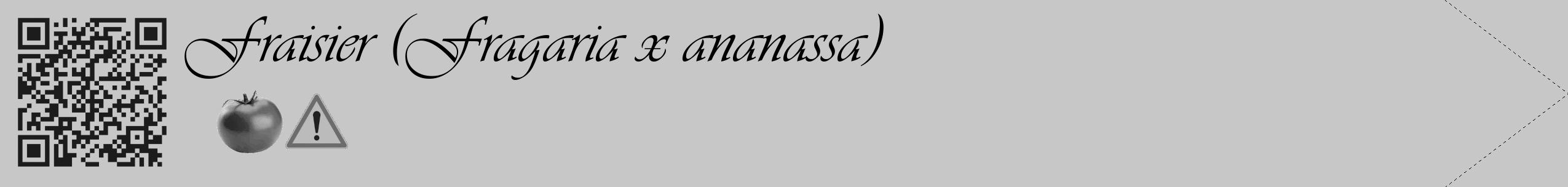 Étiquette de : Fragaria x ananassa - format c - style noire15_simple_simpleviv avec qrcode et comestibilité simplifiée
