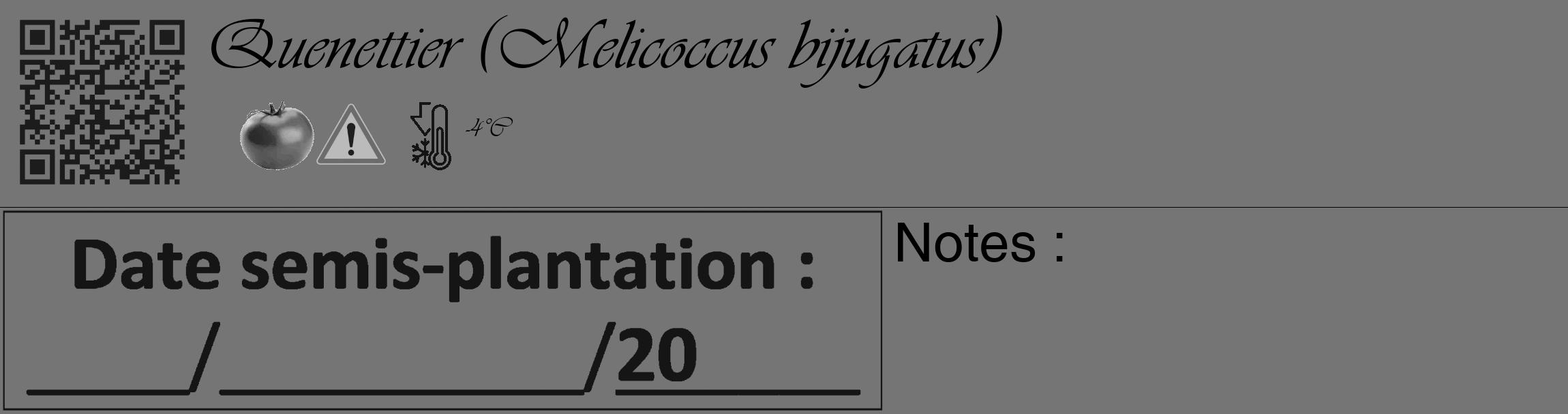 Étiquette de : Melicoccus bijugatus - format c - style noire5_basique_basiqueviv avec qrcode et comestibilité simplifiée