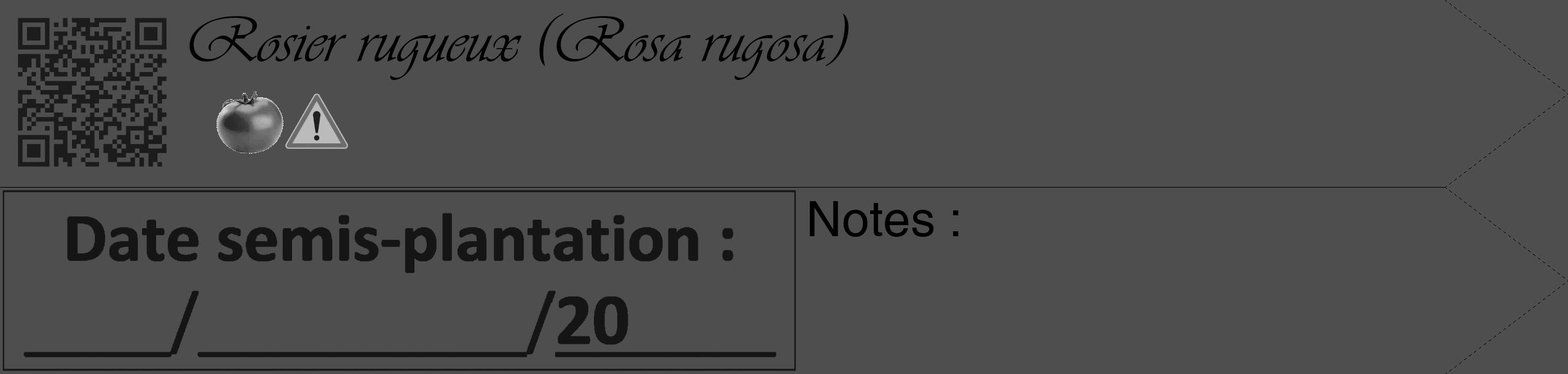 Étiquette de : Rosa rugosa - format c - style noire33simple_basique_basiqueviv avec qrcode et comestibilité simplifiée