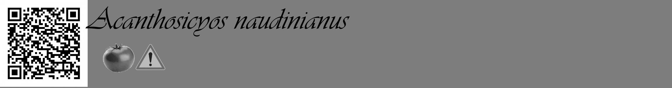 Étiquette de : Acanthosicyos naudinianus - format c - style noire35_basique_basiqueviv avec qrcode et comestibilité simplifiée