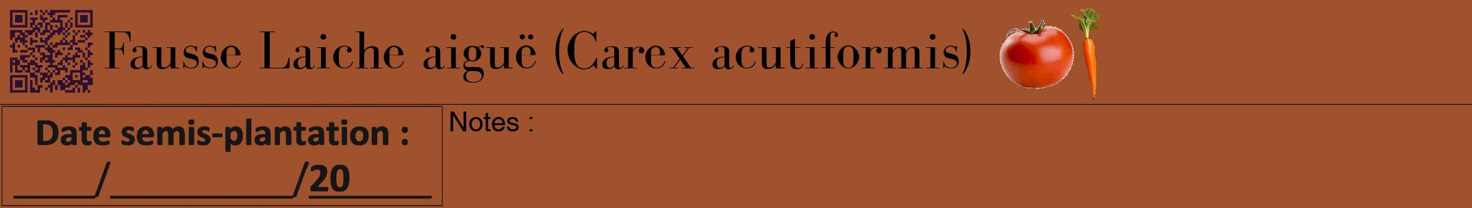 Étiquette de : Carex acutiformis - format a - style noire32bod avec qrcode et comestibilité simplifiée