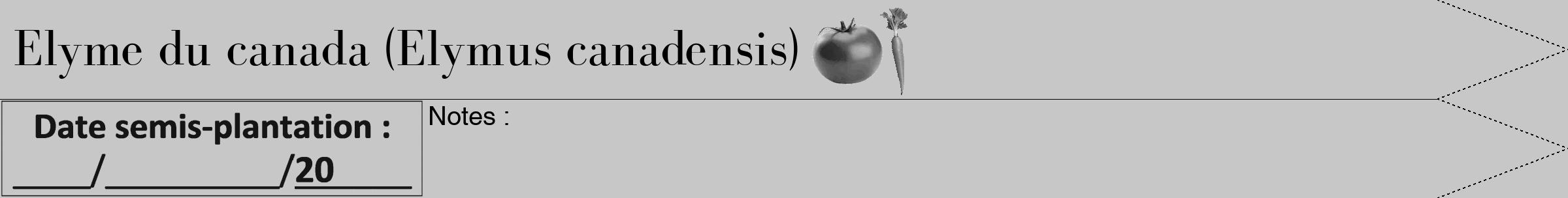Étiquette de : Elymus canadensis - format b - style noire15bod avec comestibilité simplifiée