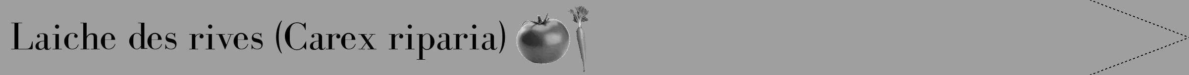 Étiquette de : Carex riparia - format b - style noire24bod avec comestibilité simplifiée
