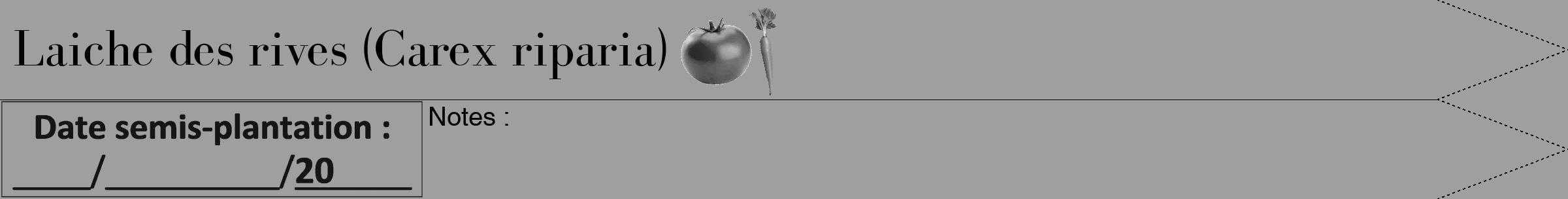Étiquette de : Carex riparia - format b - style noire24bod avec comestibilité simplifiée