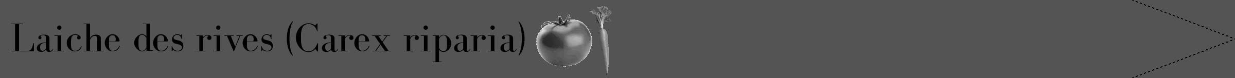 Étiquette de : Carex riparia - format b - style noire36bod avec comestibilité simplifiée