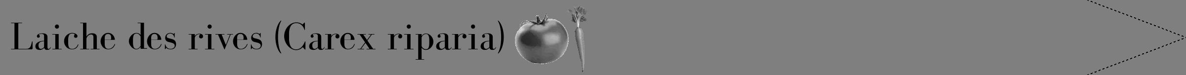 Étiquette de : Carex riparia - format b - style noire57bod avec comestibilité simplifiée
