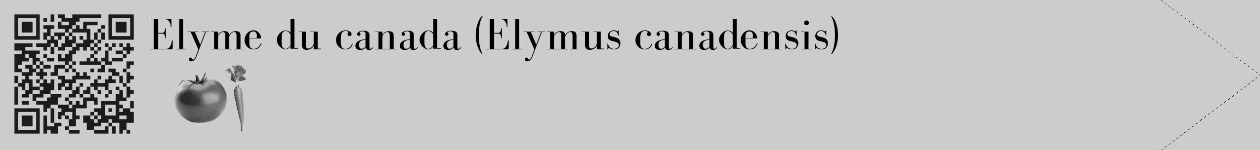 Étiquette de : Elymus canadensis - format c - style noire0_simple_simplebod avec qrcode et comestibilité simplifiée