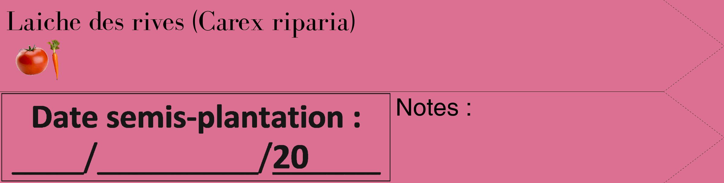 Étiquette de : Carex riparia - format c - style noire44_simple_simplebod avec comestibilité simplifiée