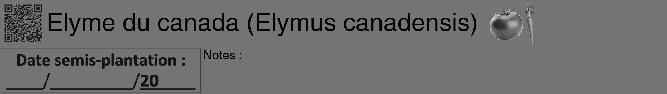 Étiquette de : Elymus canadensis - format a - style noire26hel avec qrcode et comestibilité simplifiée