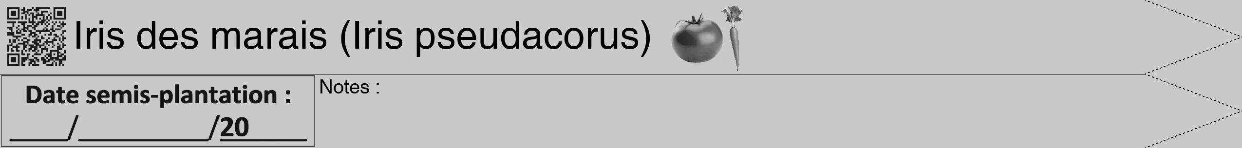 Étiquette de : Iris pseudacorus - format b - style noire54hel avec qrcode et comestibilité simplifiée