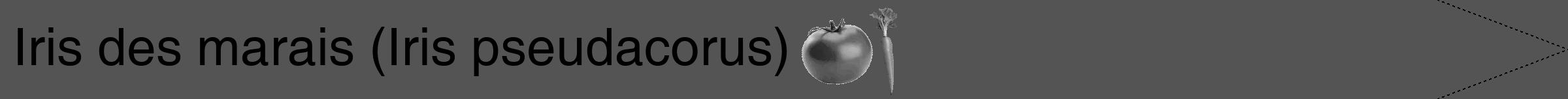 Étiquette de : Iris pseudacorus - format b - style noire36hel avec comestibilité simplifiée