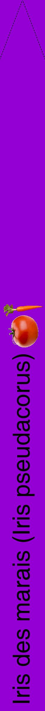 Étiquette de : Iris pseudacorus - format b - style noire48hel avec comestibilité simplifiée