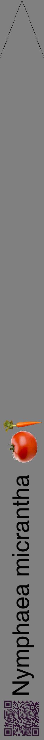 Étiquette de : Nymphaea micrantha - format b - style noire57hel avec qrcode et comestibilité simplifiée