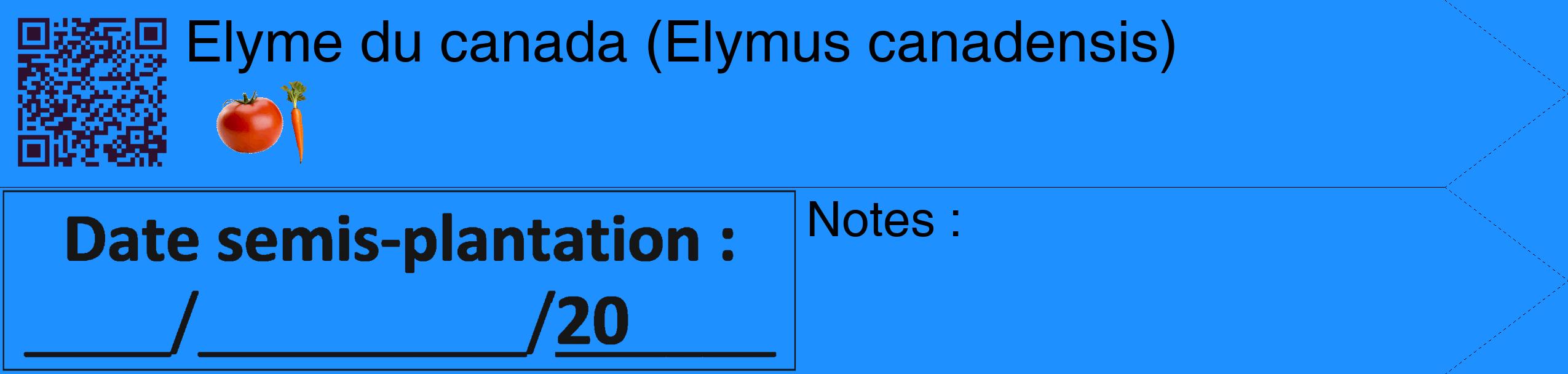 Étiquette de : Elymus canadensis - format c - style noire3_simple_simplehel avec qrcode et comestibilité simplifiée