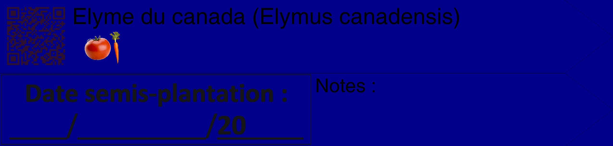 Étiquette de : Elymus canadensis - format c - style noire7_simple_simplehel avec qrcode et comestibilité simplifiée