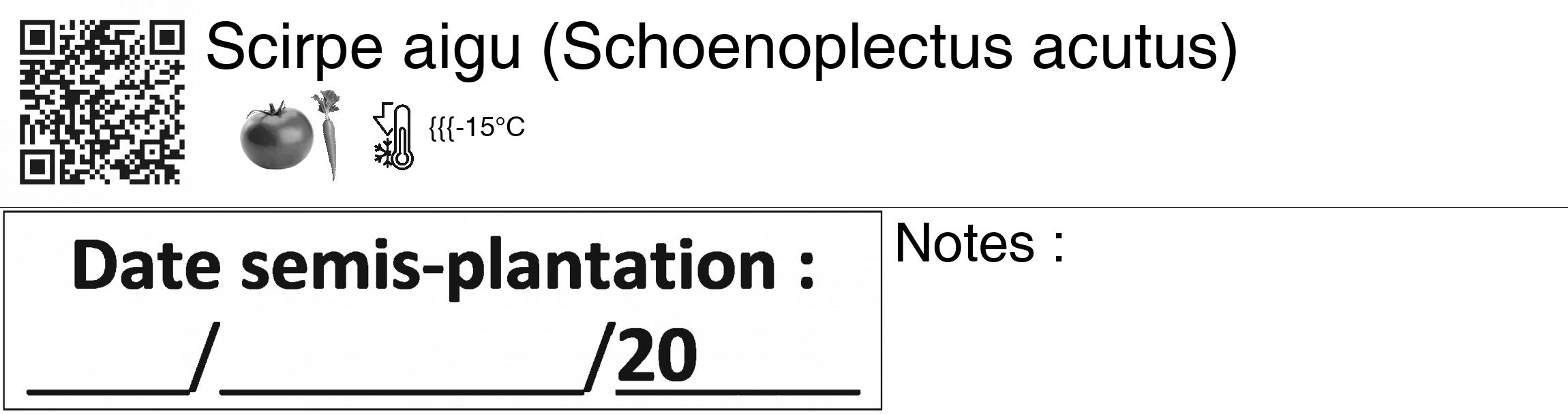 Étiquette de : Schoenoplectus acutus - format c - style noire60_basiquegrrvhel avec qrcode et comestibilité simplifiée
