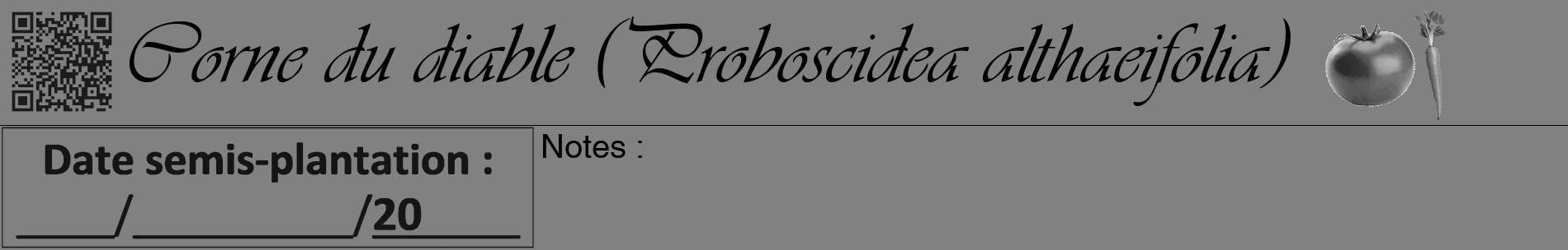 Étiquette de : Proboscidea althaeifolia - format a - style noire50basiqueviv avec qrcode et comestibilité simplifiée