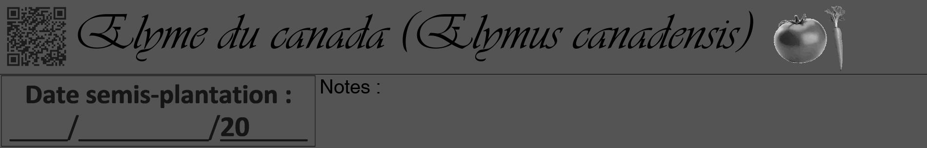 Étiquette de : Elymus canadensis - format a - style noire36basiqueviv avec qrcode et comestibilité simplifiée
