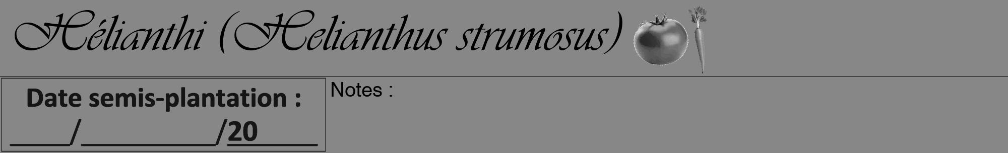 Étiquette de : Helianthus strumosus - format a - style noire12viv avec comestibilité simplifiée