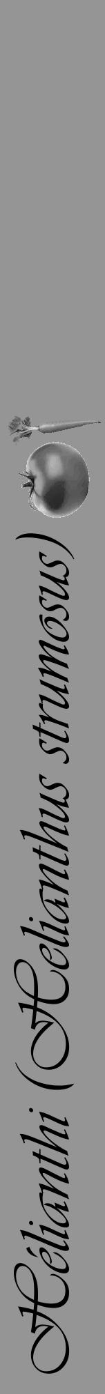 Étiquette de : Helianthus strumosus - format a - style noire16viv avec comestibilité simplifiée - position verticale