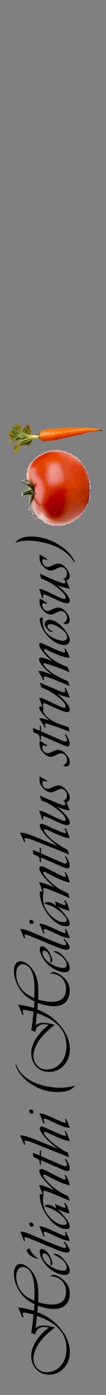 Étiquette de : Helianthus strumosus - format a - style noire57viv avec comestibilité simplifiée