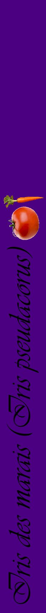 Étiquette de : Iris pseudacorus - format a - style noire47viv avec comestibilité simplifiée