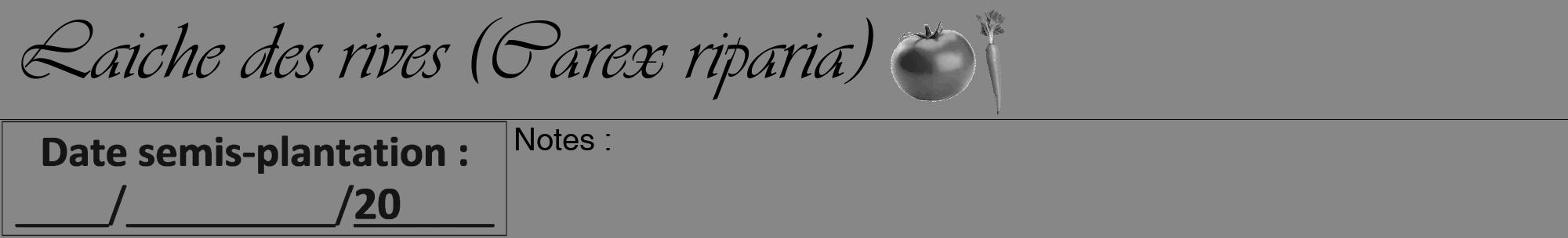 Étiquette de : Carex riparia - format a - style noire12viv avec comestibilité simplifiée