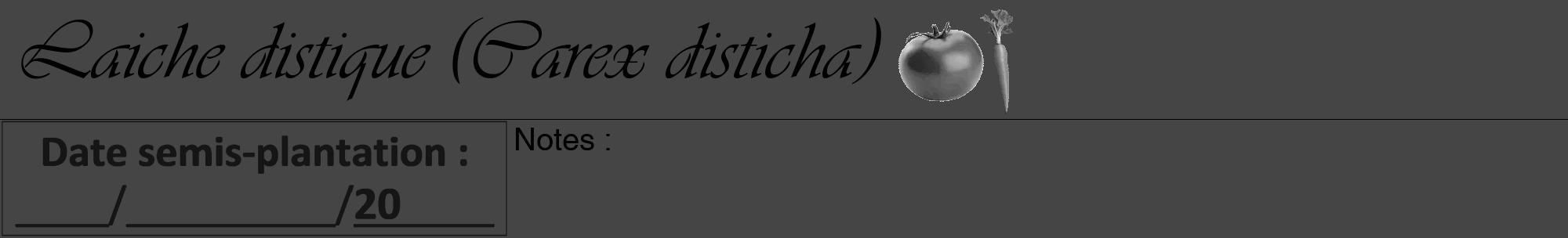 Étiquette de : Carex disticha - format a - style noire58viv avec comestibilité simplifiée