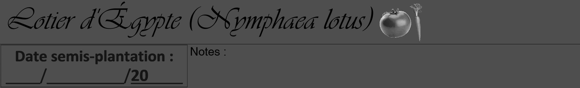 Étiquette de : Nymphaea lotus - format a - style noire33viv avec comestibilité simplifiée