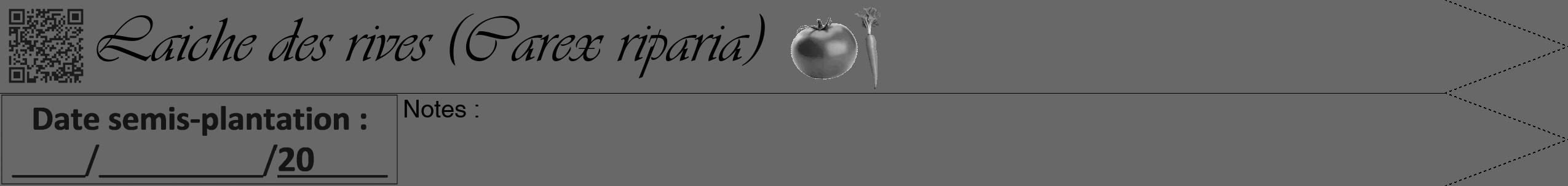 Étiquette de : Carex riparia - format b - style noire6viv avec qrcode et comestibilité simplifiée