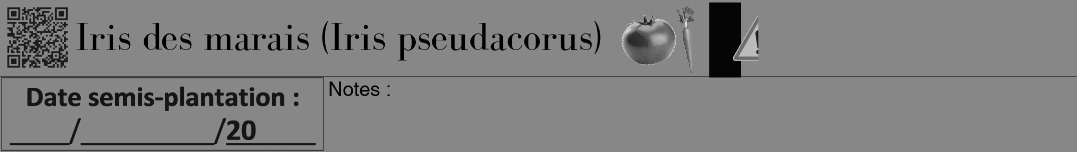 Étiquette de : Iris pseudacorus - format a - style noire12bod avec qrcode et comestibilité simplifiée