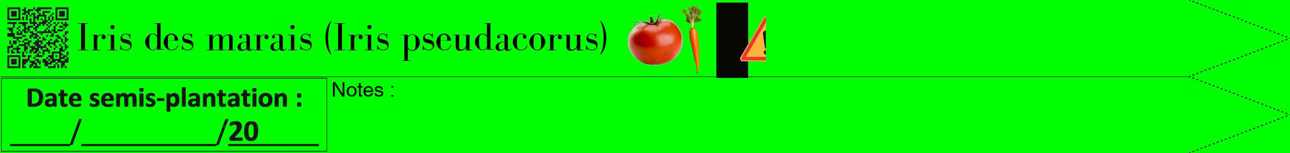 Étiquette de : Iris pseudacorus - format b - style noire16bod avec qrcode et comestibilité simplifiée