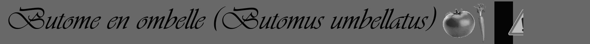 Étiquette de : Butomus umbellatus - format a - style noire43viv avec comestibilité simplifiée