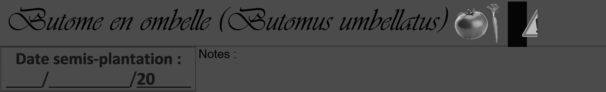 Étiquette de : Butomus umbellatus - format a - style noire9viv avec comestibilité simplifiée