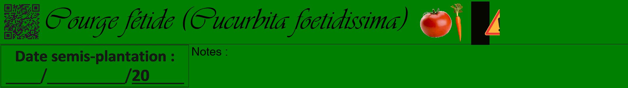Étiquette de : Cucurbita foetidissima - format a - style noire9viv avec qrcode et comestibilité simplifiée