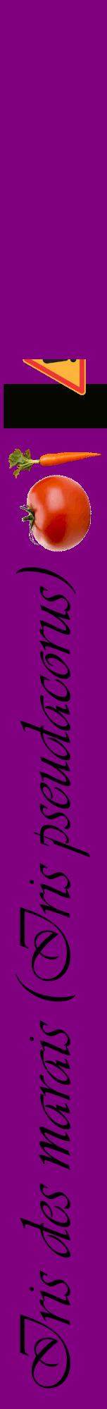 Étiquette de : Iris pseudacorus - format a - style noire46viv avec comestibilité simplifiée