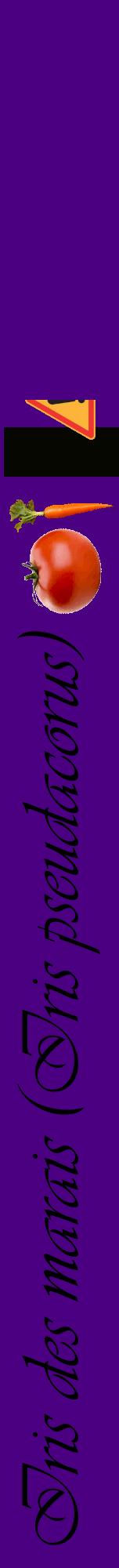 Étiquette de : Iris pseudacorus - format a - style noire47viv avec comestibilité simplifiée