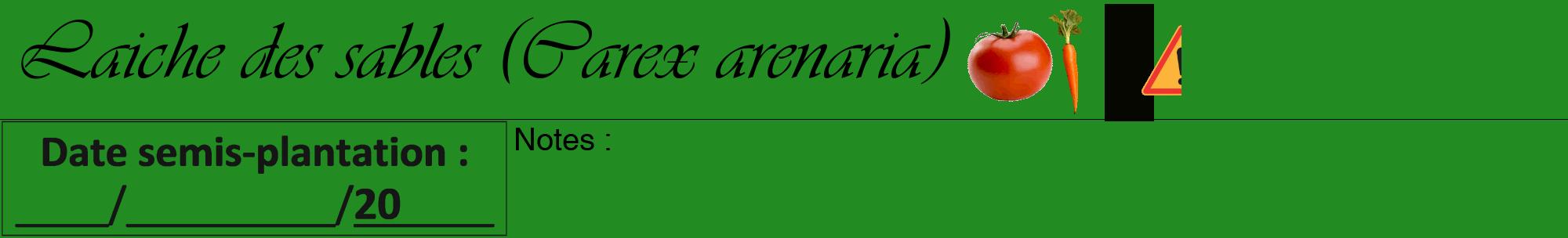 Étiquette de : Carex arenaria - format a - style noire10viv avec comestibilité simplifiée