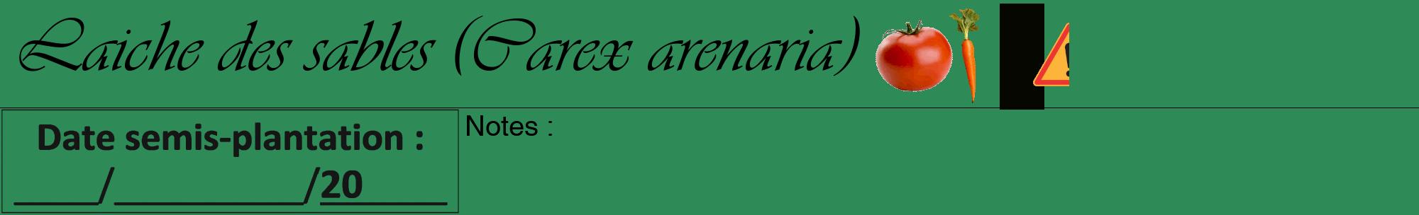 Étiquette de : Carex arenaria - format a - style noire11viv avec comestibilité simplifiée