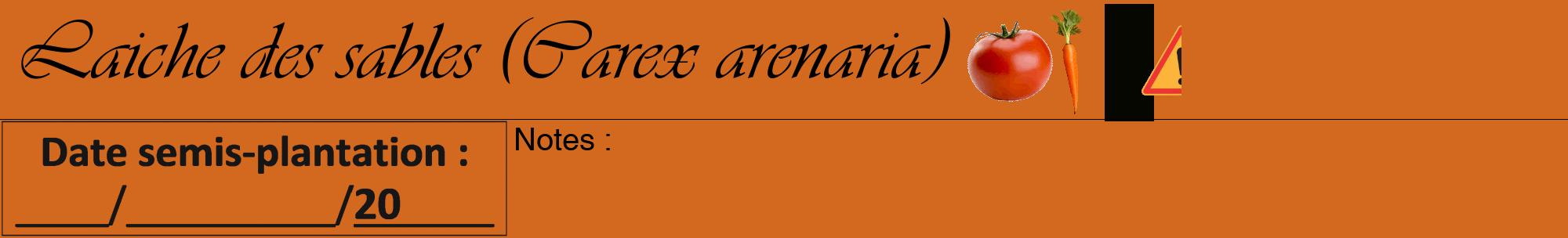 Étiquette de : Carex arenaria - format a - style noire31viv avec comestibilité simplifiée