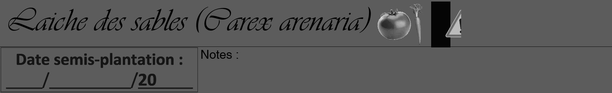 Étiquette de : Carex arenaria - format a - style noire49viv avec comestibilité simplifiée