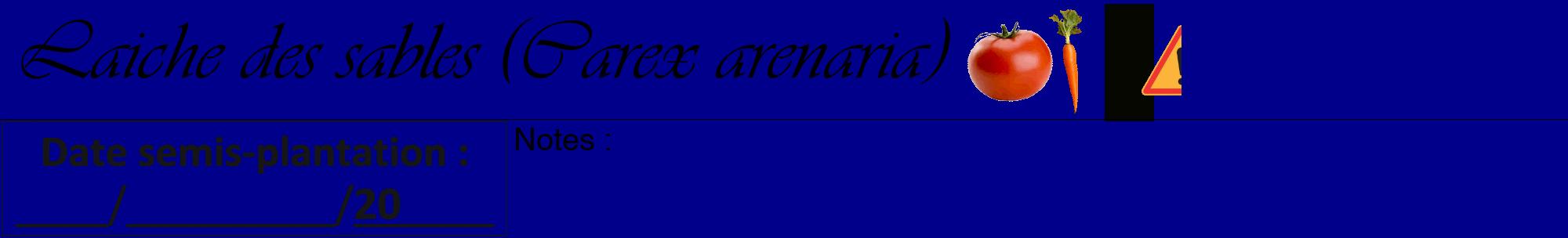Étiquette de : Carex arenaria - format a - style noire7viv avec comestibilité simplifiée