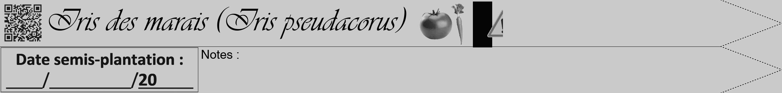 Étiquette de : Iris pseudacorus - format b - style noire21viv avec qrcode et comestibilité simplifiée
