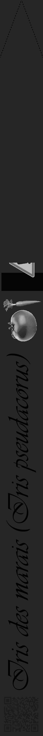 Étiquette de : Iris pseudacorus - format b - style noire29viv avec qrcode et comestibilité simplifiée - position verticale