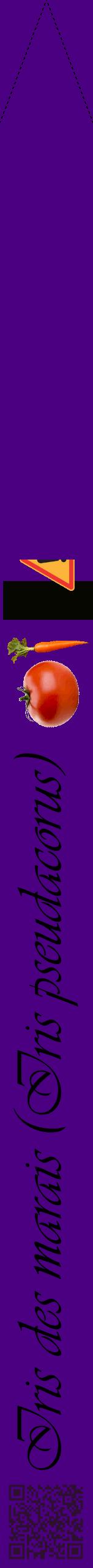 Étiquette de : Iris pseudacorus - format b - style noire47viv avec qrcode et comestibilité simplifiée